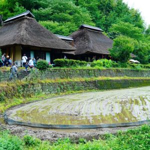 田植えを終えて、一服