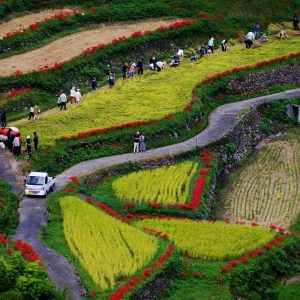 オーナー達のにぎわい